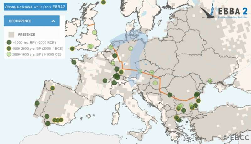 Northeastern Europe has o<em></em>nly been ‘stork country’ for a few centuries