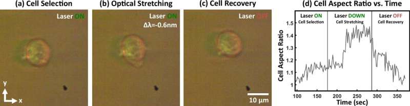 Engineers create a chip-ba<em></em>sed tractor beam for biological particles